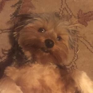 Meet your Posher, Isaac